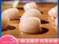新鲜干贝哪里有卖（新鲜干贝哪里有卖的）