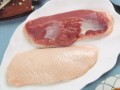 鸭子胸为啥这么大,鸭子一般在哪