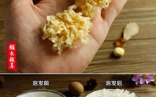 白木耳雪耳哪里产的好（白木耳雪耳哪里产的好吃）