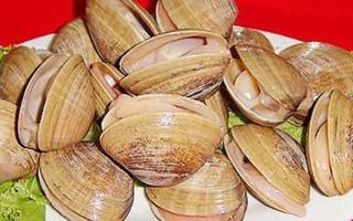 丹东哪里黄蚬子好吃（丹东哪里黄蚬子好吃又便宜）