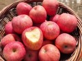 国内哪里产的苹果更好吃,中国的苹果哪里的好吃又甜