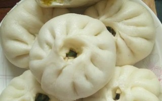 菜斗肉包子怎么样（菜肉包子蒸多久）