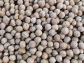 干豌豆哪里有卖（干豌豆哪里有卖的啊）