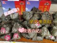 肇庆哪里有裹（肇庆哪里有裹蒸粽卖）