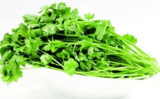香菜是哪里的（香菜是哪里的方言）