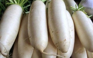 白萝卜哪里甜（白萝卜哪里甜一点）