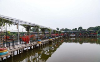 乐一乐餐饮有限公司怎么样（乐一乐农庄怎么样）