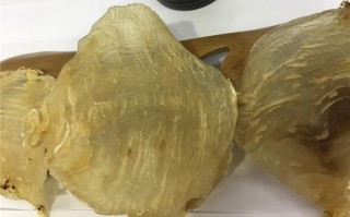 哪里有批发鱼胶（汕头鱼胶最大批发市场）