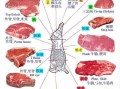 胸脯肉指哪里（前胸肉和后胸肉的区别）