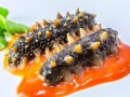 海参哪里买（去哪里买海参好）