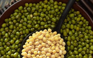 脱皮绿豆哪里好（绿豆脱皮与不脱皮哪个营养）