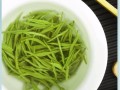 毛尖哪里最好（什么毛尖茶口感最好）