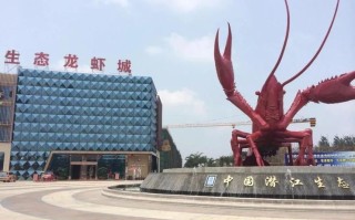 盱眙小龙虾在哪里（江苏盱眙龙虾城在什么路上）
