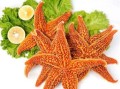 海星的肉是什么,海星肉在哪里生长