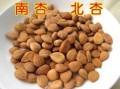 南杏北杏哪里好,哪里产的白扁豆最好!