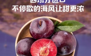 黑布林哪里的好吃（黑布林，黑布李，哪个买的贵，哪种好吃）