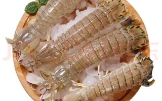 皮皮虾舟山叫什么名字,琵琶虾产地是哪