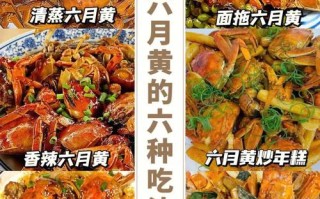六月黄哪里吃（六月黄哪里比较好吃）