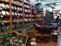 开个茶店怎么样（开个茶店怎么样赚钱）