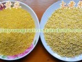 大黄米哪产的好,黍米哪里最好吃最正宗