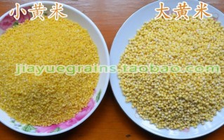 大黄米哪产的好,黍米哪里最好吃最正宗
