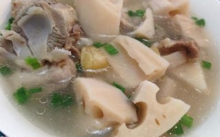 藕尾是哪里（藕尾是什么）