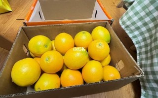 鲜果时间怎么样能干吗（如何邮寄水果）
