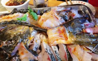 成都哪里吃鱼（成都哪里吃鱼好吃）
