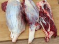 牛腱肉是哪里（牛腱子是牛的哪块肉）