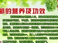 葡萄的营养在哪里（葡萄的营养在哪里?）