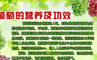 葡萄的营养在哪里（葡萄的营养在哪里?）
