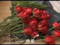 哪里干玫瑰花好（干玫瑰花是红色的好还是紫色的好）