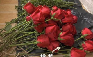 哪里干玫瑰花好（干玫瑰花是红色的好还是紫色的好）