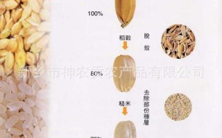 糙米哪里盛产（糙米哪里产的比较好）