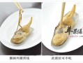 蛏子吃什么,圣子吃哪个部位