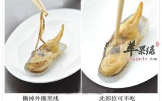 蛏子吃什么,圣子吃哪个部位