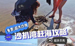 沙扒在哪里买海鲜（阳西沙扒最佳赶海地点）