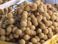 龙眼哪里的最好吃（龙眼哪里的最好吃最正宗）