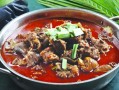 哪里学狗肉火锅（长春市最好吃的狗肉火锅）