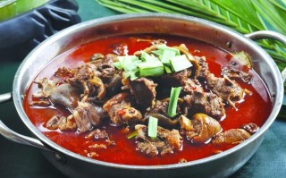 哪里学狗肉火锅（长春市最好吃的狗肉火锅）