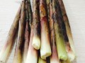 笋哪里能吃（笋哪里能吃哪里不能吃）