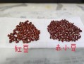 赤小豆哪里好（哪里产的赤小豆最好）