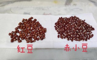 赤小豆哪里好（哪里产的赤小豆最好）