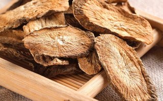 牛蒡是牛的哪里（牛蒡是牛哪个部位）