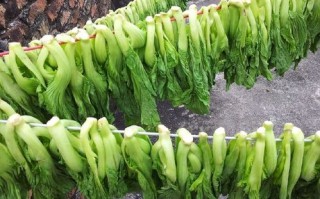 梅菜产于哪里,梅菜是哪里的菜系