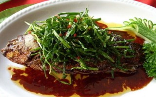 芙蓉鲫鱼是哪里的菜系（肖蓉鱼是什么）
