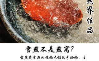 雪燕哪里的好（雪燕去哪买比较好）