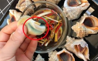 海螺哪里臭（海螺是臭的）
