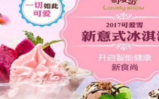可爱雪加盟费怎么样（可爱雪加盟费怎么样多少钱）