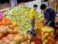 广州密果公司怎么样（广州密果公司怎么样）